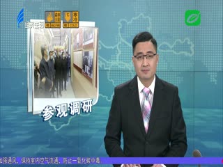 深圳市代表团参观调研小公园开埠区