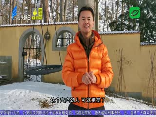 跨洋互诉桑梓情 五洲共话中国梦