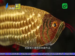 在汕学非遗 以针为笔以线为墨 绣出美好祝福