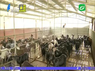 脱贫户的“农家宴”