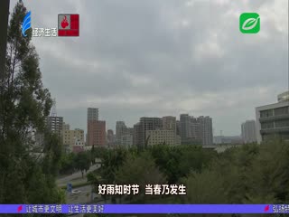 春雨“洗礼”辞旧岁 惠风和畅迎新春