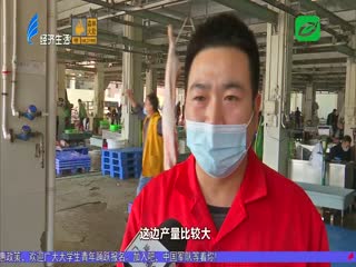 屠宰企业不打烊 确保供应放心肉