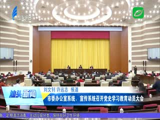 市委办公室系统、宣传系统召开党史学习教育动员大会