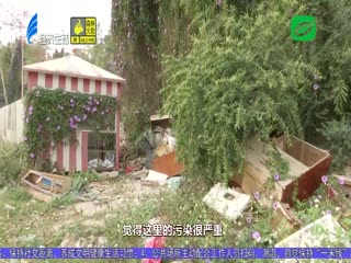 半山腰现垃圾带 污染环境须整治