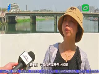 春到公园百花香 万紫千红好春光
