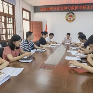 县政协机关召开党史学习教育专题组织生活会