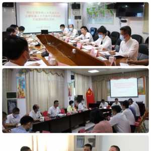 濠江区人大常委会组织开展“更好发挥人大代表作用”主题活动