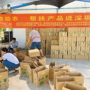 数日卖掉3000公斤滞销番石榴!看看深圳帮扶队伍如何助潮南果农解难...