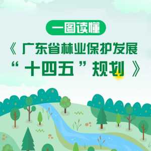 一图读懂《广东省林业保护发展“十四五”规划》