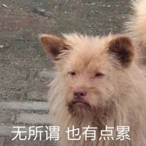 【天气】“高温蒸煮”天气模式开启  请收下这份防御指南