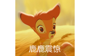 中山公园梅花鹿今早出逃半日游!?真相其实是……