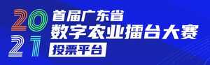 全省大擂台!濠江就差您这一票了!