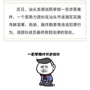 【政法动态】龙湖法院依法严惩  涉恶犯罪团伙被端