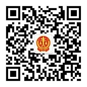 汕头市龙湖区人民法院关于公布顽瘴痼疾整治内容的公告