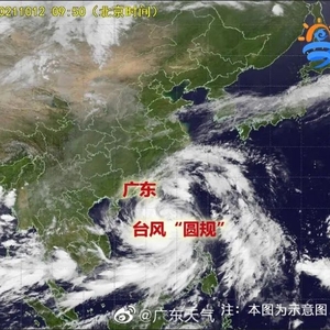 风好大 雨将至!濠江区严阵以待!台风“圆规”进入南海,下来天气…