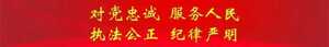 【教育整顿进行时】濠江公安分局召开全区公安机关政法队伍教育整顿总结大会