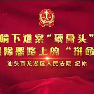 【政法风采】龙湖法院纪冰:啃下难案“硬骨头”,扫黑除恶路上的“拼命三郎”