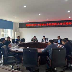 南澳法院召开党组扩大会学习贯彻全市法院院长会议精神、县委十三届十四次全会精神.