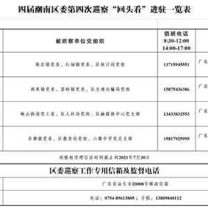 四届潮南区委第四次巡察“回头看” 工作公告