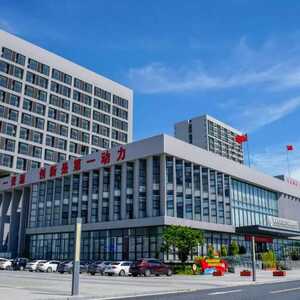 办事忘带证照怎么办?别怕!濠江“免证办”服务来啦