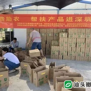 【上级媒体报道】近3000公斤番石榴销往深圳市场!深圳帮扶队伍为潮南乡村果园解决水果滞销难题