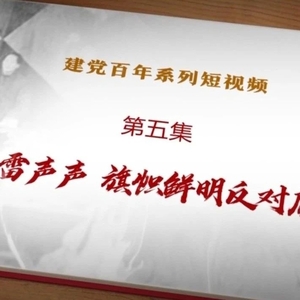 党史中的纪律(五)