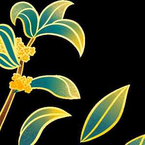 全国首创!龙湖区举行华侨旅居养老示范基地揭牌仪式