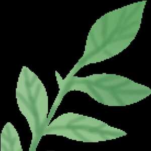 南澳政协海韵诗社社员  助力新型肺炎疫情阻击战诗词专辑