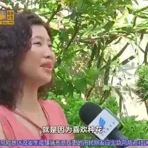 身边就是濠江“最雅四小园”,是怎样的体验?