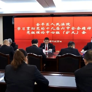 金平法院召开学习贯彻党的十九届六中全会精神党组理论中心组(扩大)会