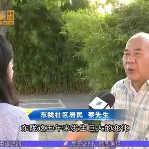 “社区能变成这样,确实是非常自豪的”!濠江这个“网红村”的诞生…