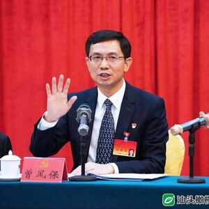 【聚焦党代会】曾风保参加市十二次党代会龙湖区代表团讨论