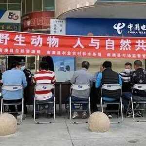 汕头南澳公安查获3宗破坏野生动物资源违法犯罪案件