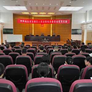 龙湖法院党员大会选举产生出席区直单位党代表会议的代表