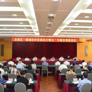 龙湖区召开“镇域经济发展运行情况”专题协商座谈会