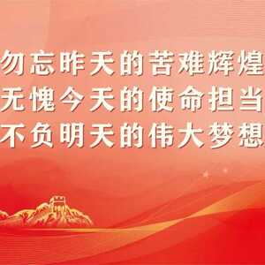 龙湖法院下蓬法庭耐心调解案件 解民忧 暖民心