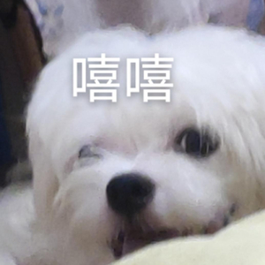 方便!汕头市政务服务中心上线24小时自助取件柜!附使用指南