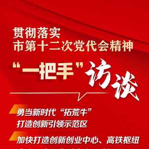蔡向鸿畅谈龙湖发展:当好党代会决策部署“施工队”