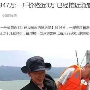 汕头南澳岛捕获了“金钱鮸”并售价347万?谣言!