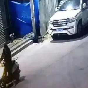 撞人致伤竟逃逸   被抓落网悔莫及