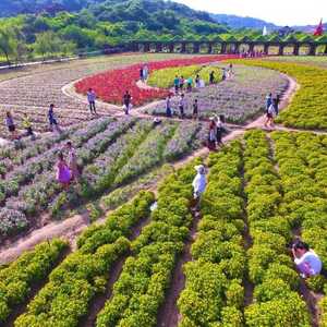 你来过吗?濠江这个地方拟确定为国家3A级旅游景区
