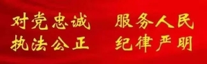 龙湖公安的“1.10”是这样度过的……