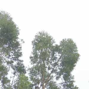 强冷空气周末“到货”   我市最低温或降至9℃