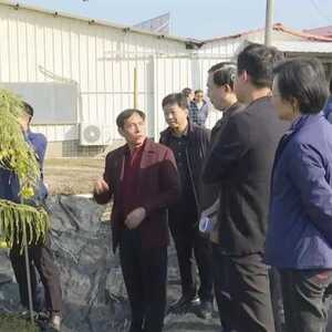 生态小果园  种出新希望