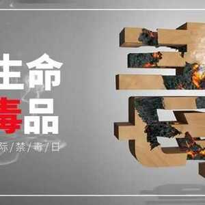 龙湖法院依法从严惩处毒品犯罪