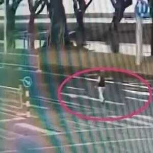马路上乱窜太危险  迷途男孩获助归家