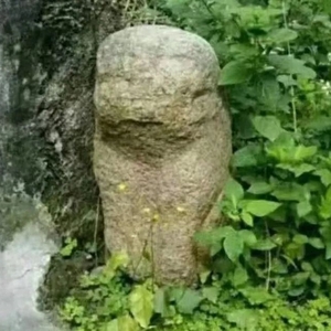 被盗的古石狮已经找回了!