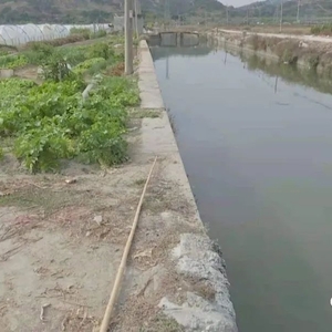 老人跌落水渠  热心村民施救