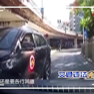 交通违法全记录 | 违规逆行太危险