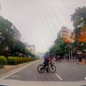 绿化带上存缺口  路人横穿隐患多